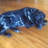 Maggie B profil fotoğrafı