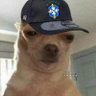 Profilbild von Ninfeto de Elite
