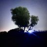 هلال القاسمي 的头像