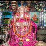 Profilbild von Uday पालीवाल कलावत