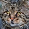 Profilbild von Jean G