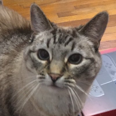 Sean P. Means's profile picture
