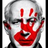 שלמה קרסו 的头像