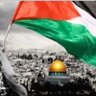 🇴🇲 أبن الشرقية 🇵🇸 profil fotoğrafı