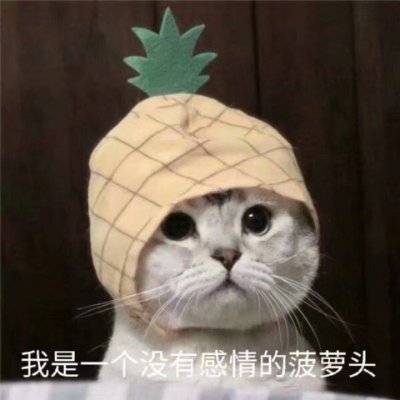 菠萝头🍍's profile picture
