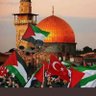Turan Yılmaz 🇹🇷🇵🇸's profile picture