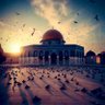 Фото профиля Algerian 🇩🇿🌺