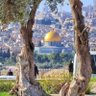 ماهر الخال profil fotoğrafı