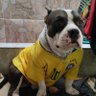 Pablo Vinícius Furtado Pacífico profil fotoğrafı