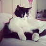 CIKIBUM profil fotoğrafı