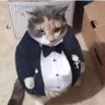 marciolvc's profile picture