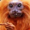 nothernscot2023's profile picture