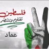 Emad Hegazy 的头像
