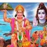 Фото профиля Ravi Pandey