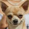 Profilbild von wise man