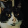 Profilbild von Mathias