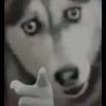 clown's profile picture