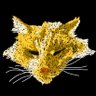 Tabs's profile picture