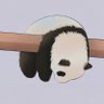 Haruka 遥's profile picture