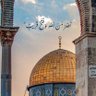 imene ahmed's profile picture