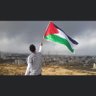 🇵🇸🇪🇬aslaan's profile picture
