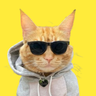 Profilbild von Harvey