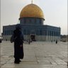yasemin zeydan🇹🇷🇵🇸's profile picture