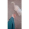 ميّ🌿. 的头像