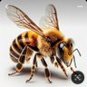 Profilbild von CAVİT