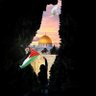 Ahmed Binzaid🇾🇪🇵🇸 的头像
