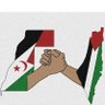 🇪🇭Mariam🇵🇸 profil fotoğrafı
