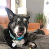 Thomas's profile picture