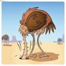 Alton Starling's profile picture