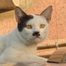 Profilbild von 𝓢𝓱𝓸𝓻𝓽 𝓔𝓶 𝓐𝓵𝓵