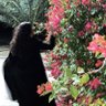 i'am's profile picture