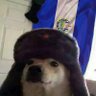 Profilbild von El Nudul
