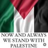 Fahed nemer's profile picture