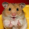 Coco's profile picture