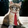 Wyatt e/acc's profile picture