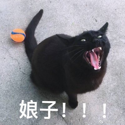Elysi4999's profile picture