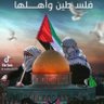 أحمد فرج's profile picture