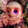 Profilbild von 🐌