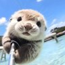 Profilbild von 2525ちゃん