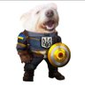 Cap’n Puppers 的头像