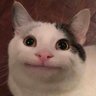 ValentinSchneidewind's profile picture