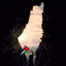 فلسطين's profile picture
