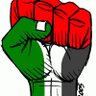 Bob Anti LREM59 🇩🇿🇵🇸 profil fotoğrafı
