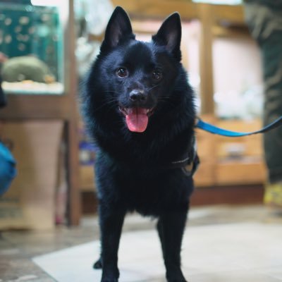 uni_inu111's profile picture