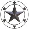 Texans Take Action Defending Our Rights & Liberty's profile picture