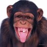 Luciano's profile picture